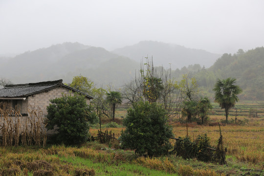 乡村风光