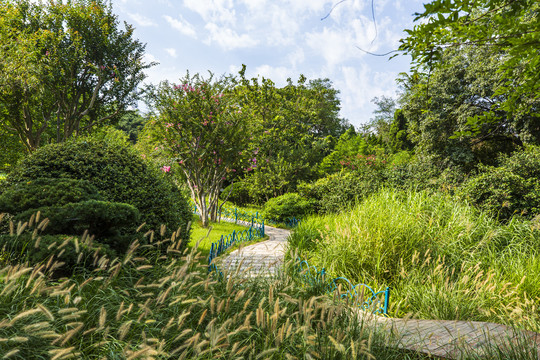 青岛植物园