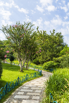 青岛植物园