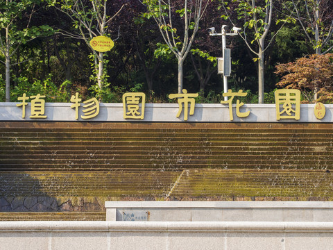 青岛植物园市花园