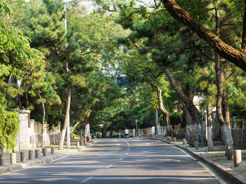 青岛街景