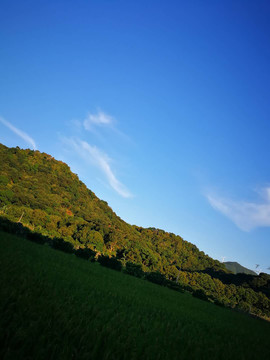 天空田野