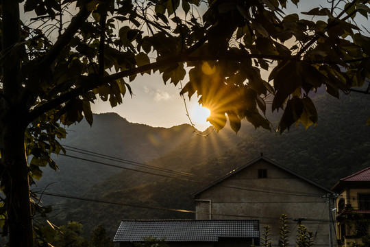 乡村的黄昏