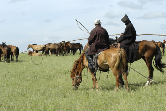 草原上的马群与牧人