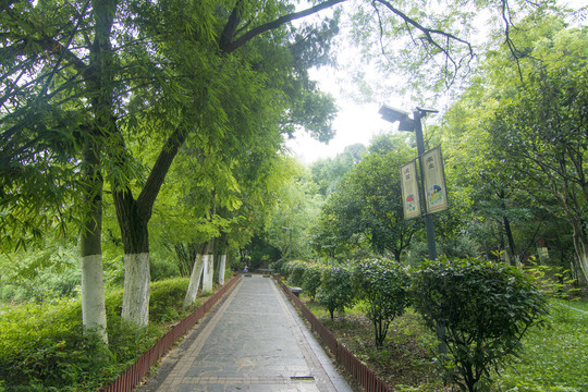 园林景观