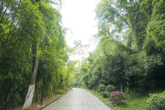 园林景观