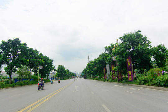 城市绿化
