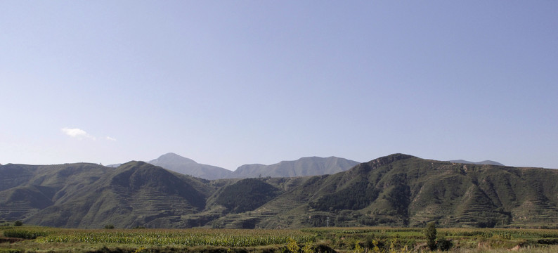 刘家庄南山小猪脑