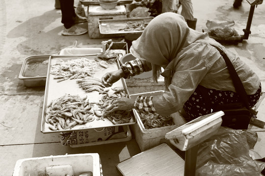 卖海鲜的渔民