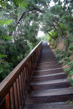 木质台阶