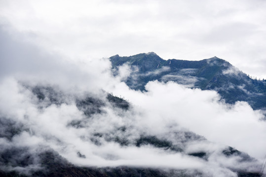 大凉山1水墨画1雾景