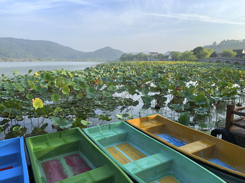 南北湖风景