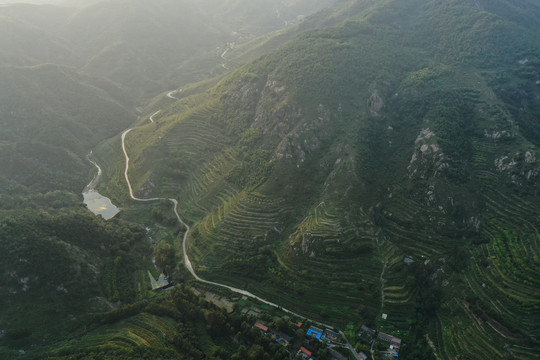 青山绿水