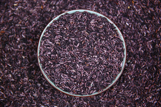 紫糯米
