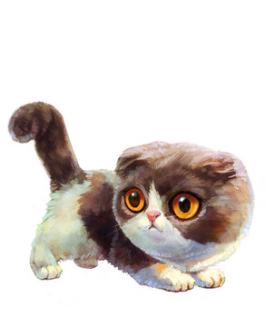 猫