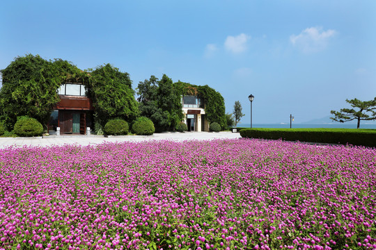 花海别墅