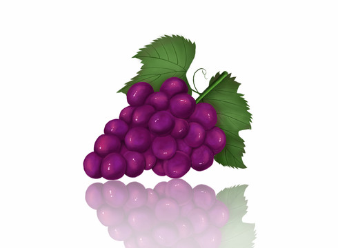 手绘紫葡萄