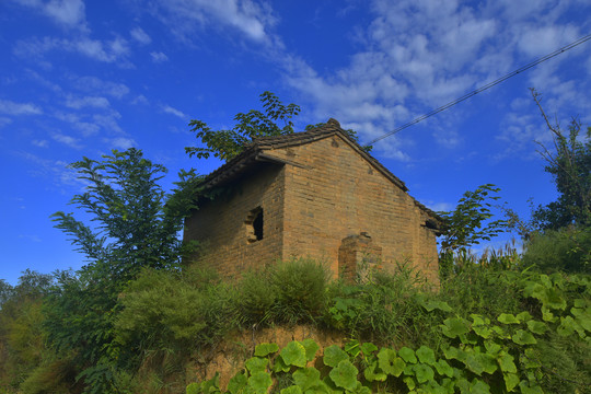 田园风景