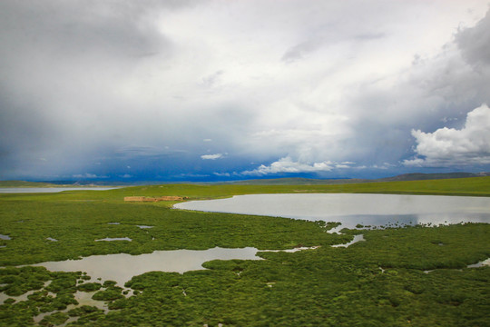 青藏高原湖泊草原
