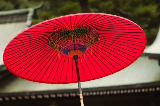 日本红伞照片