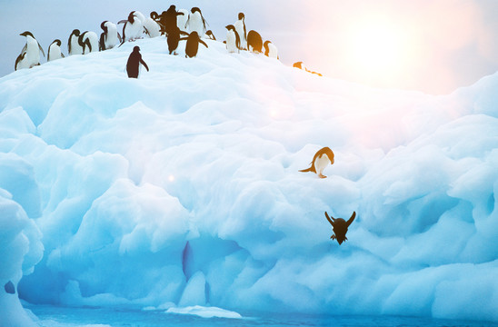 冰川企鹅