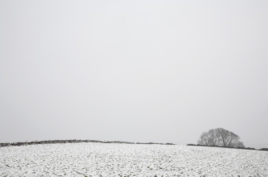 雪原远眺