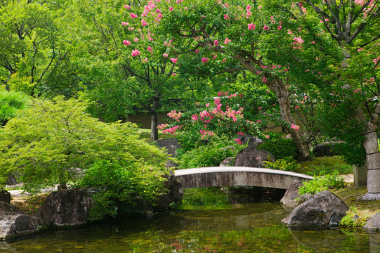 日本花园全景