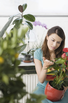 在家里照料植物的妇女