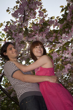 樱花树下的年轻夫妇