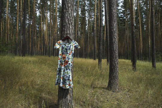 衣服挂在森林里
