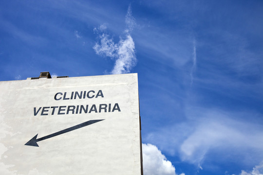 西班牙瓦伦西亚兽医诊所