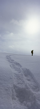 雪原上的旅行者