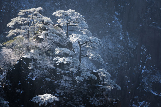 中国安徽黄山风景区