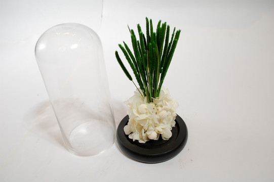 永生花