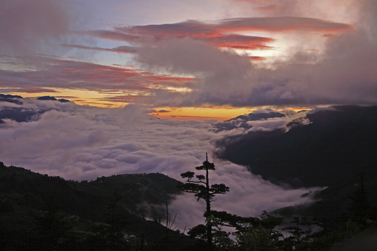 高山云海