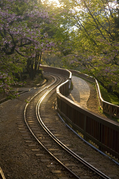 台湾森林铁路