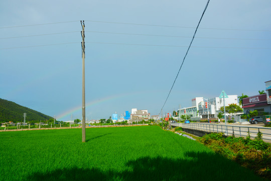 乡村晨曦