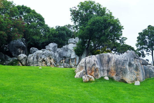 云南石林风景