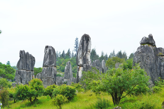 昆明石林风景