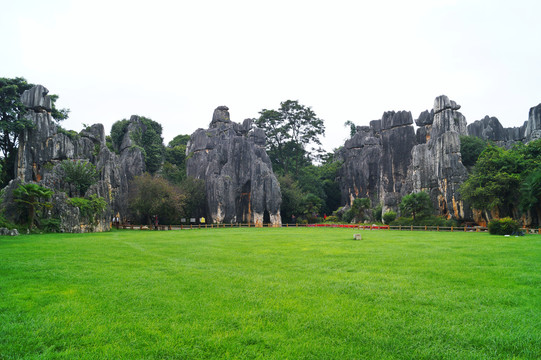 昆明小石林风景