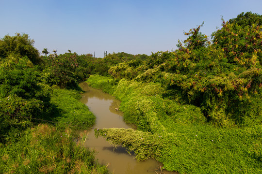 广东湛江河边