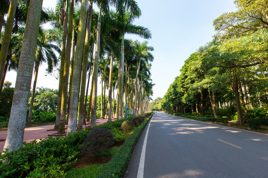 广东湛江湖光岩风景区景区道路