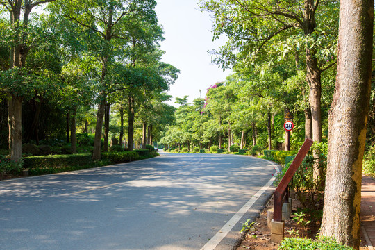 广东湛江湖光岩风景区景区道路