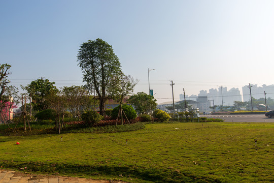 广东湛江花卉公园