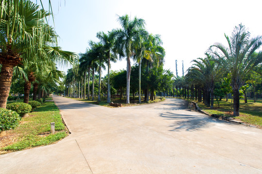 广东湛江南亚热带植物园