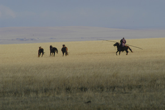 草原上的牧马人
