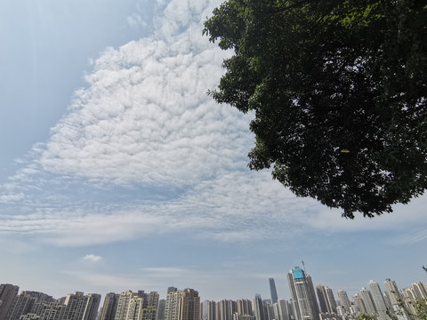 城市