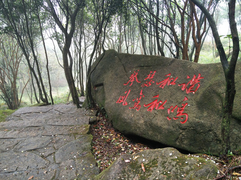 登山路