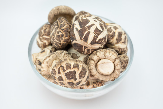 花菇冬菇蘑菇