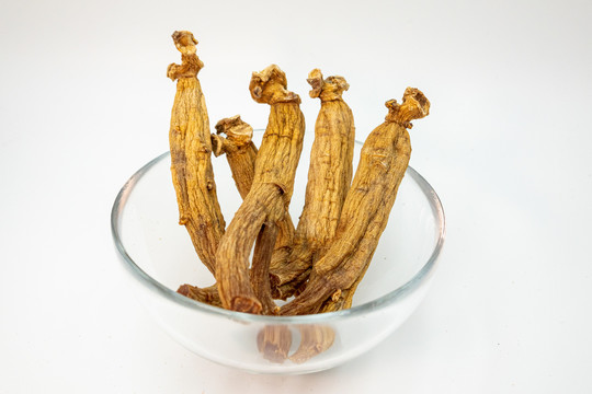 红参高丽参